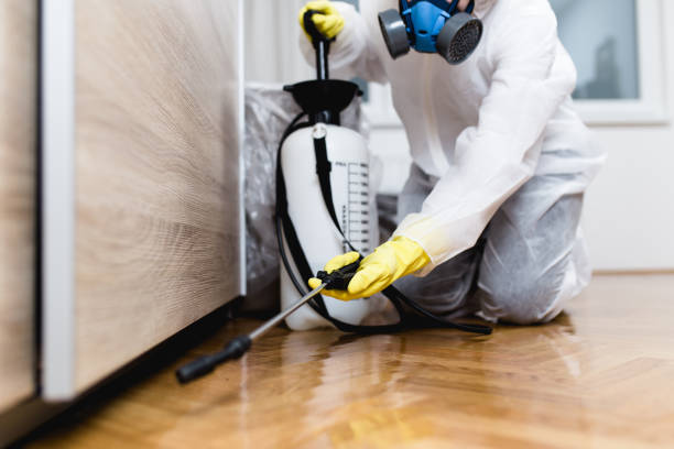 Best Residential Pest Control  in Woodlawn, OH