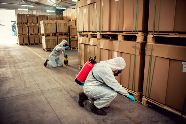 Best Exterminator Services  in Woodlawn, OH