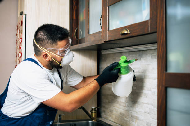 Best Pest Control Near Me  in Woodlawn, OH