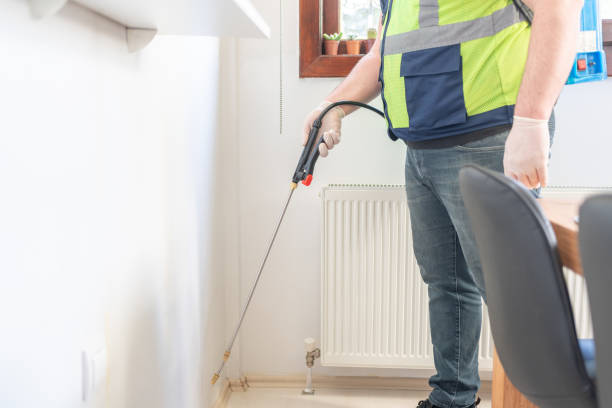 Best Flea Control Services  in Woodlawn, OH