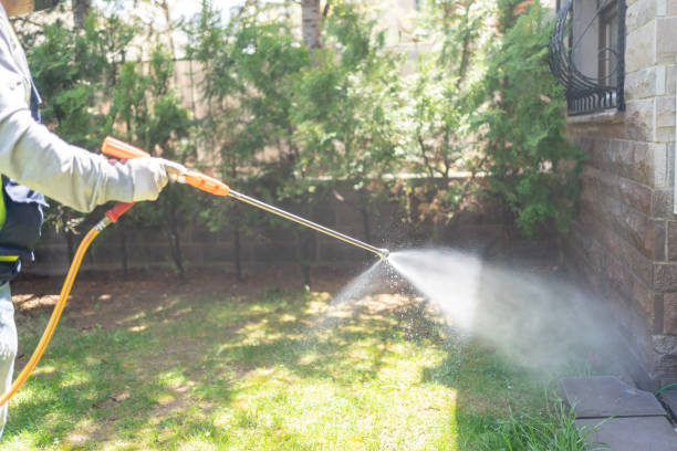Best Ant Control Services  in Woodlawn, OH