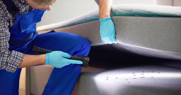 Trusted Woodlawn, OH Pest Control Experts