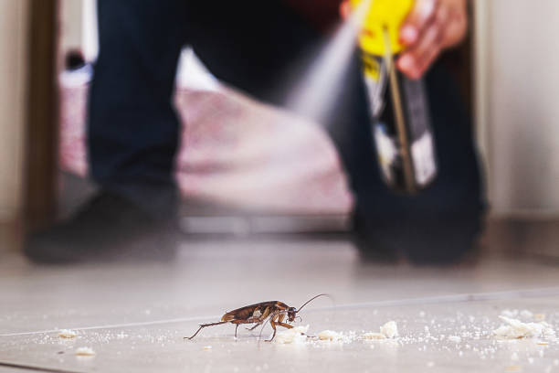 Best Pest Inspection Near Me  in Woodlawn, OH