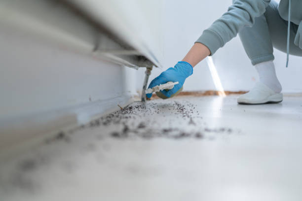 Best Pest Removal Services  in Woodlawn, OH