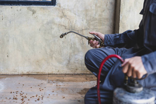 Best Termite Control Services  in Woodlawn, OH