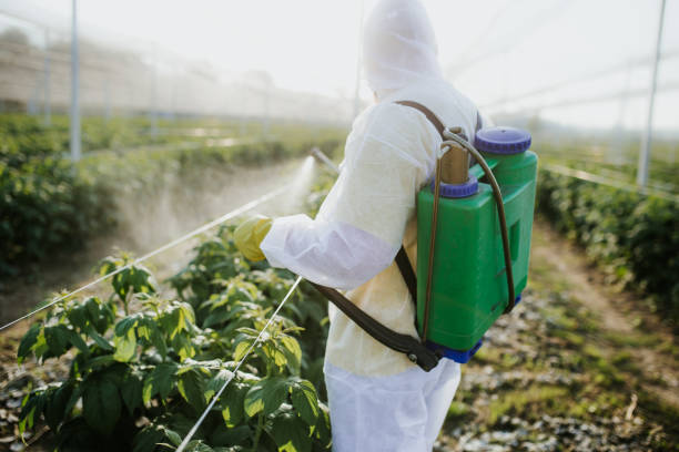 Best Pest Prevention Services  in Woodlawn, OH